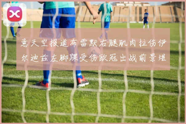 意天空报道布雷默右腿肌肉拉伤伊尔迪兹左脚踝受伤欧冠出战前景堪忧