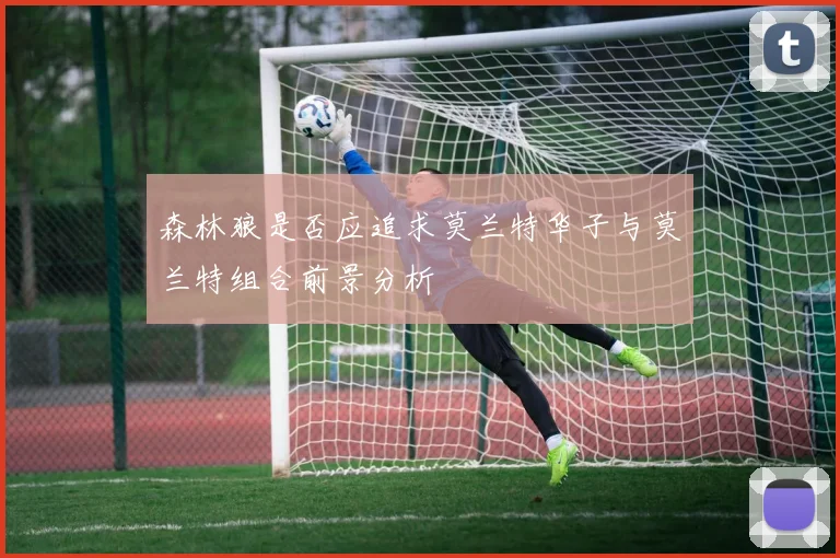 森林狼是否应追求莫兰特华子与莫兰特组合前景分析