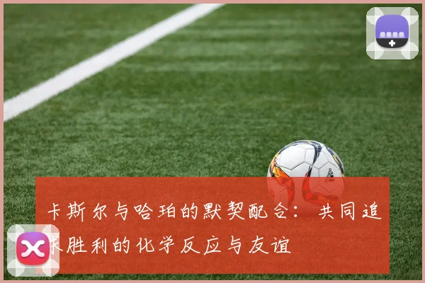 卡斯尔与哈珀的默契配合：共同追求胜利的化学反应与友谊