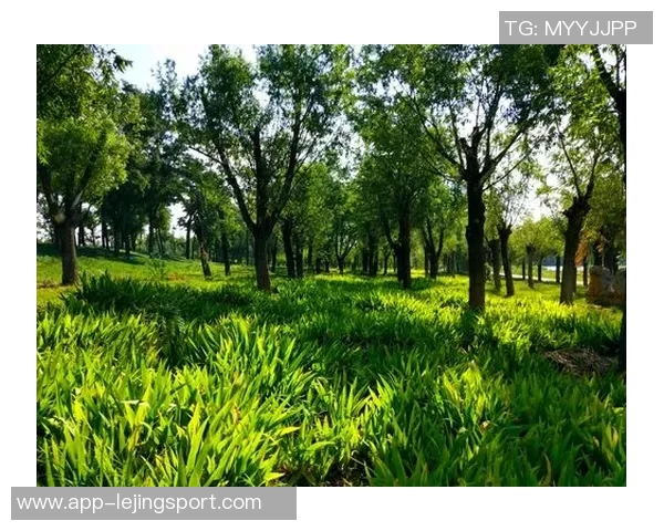 奥特古德温刻苦训练成效显著期待他未来更精彩的表现