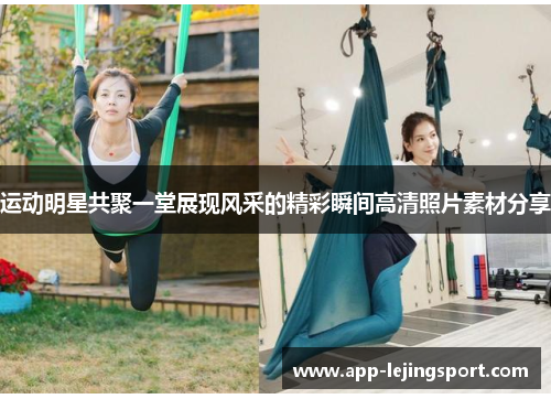 运动明星共聚一堂展现风采的精彩瞬间高清照片素材分享